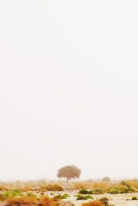 副業で月5万円を達成した成功例とは？