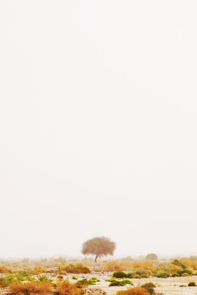 副業で月5万円を達成した成功例とは？