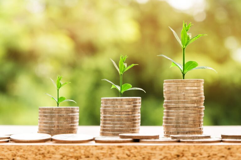 給料が足りない？生活費の支出を見直すポイントは？